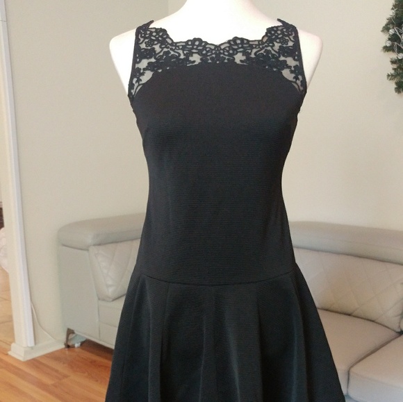 Arrogant Cat Skater Dress with Lace Trim size 6 - Picture 2 of 7